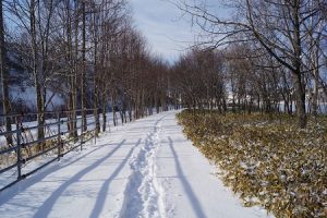 dsc00105