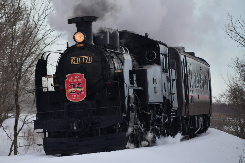 ☆SL冬の湿原号☆